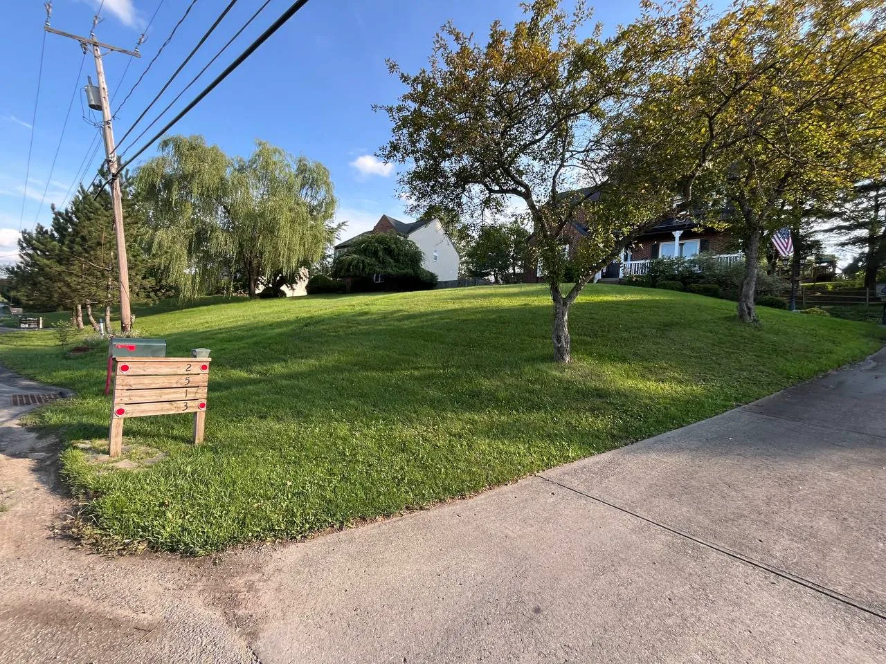 🌱 Nothing beats fresh stripes, photo 1