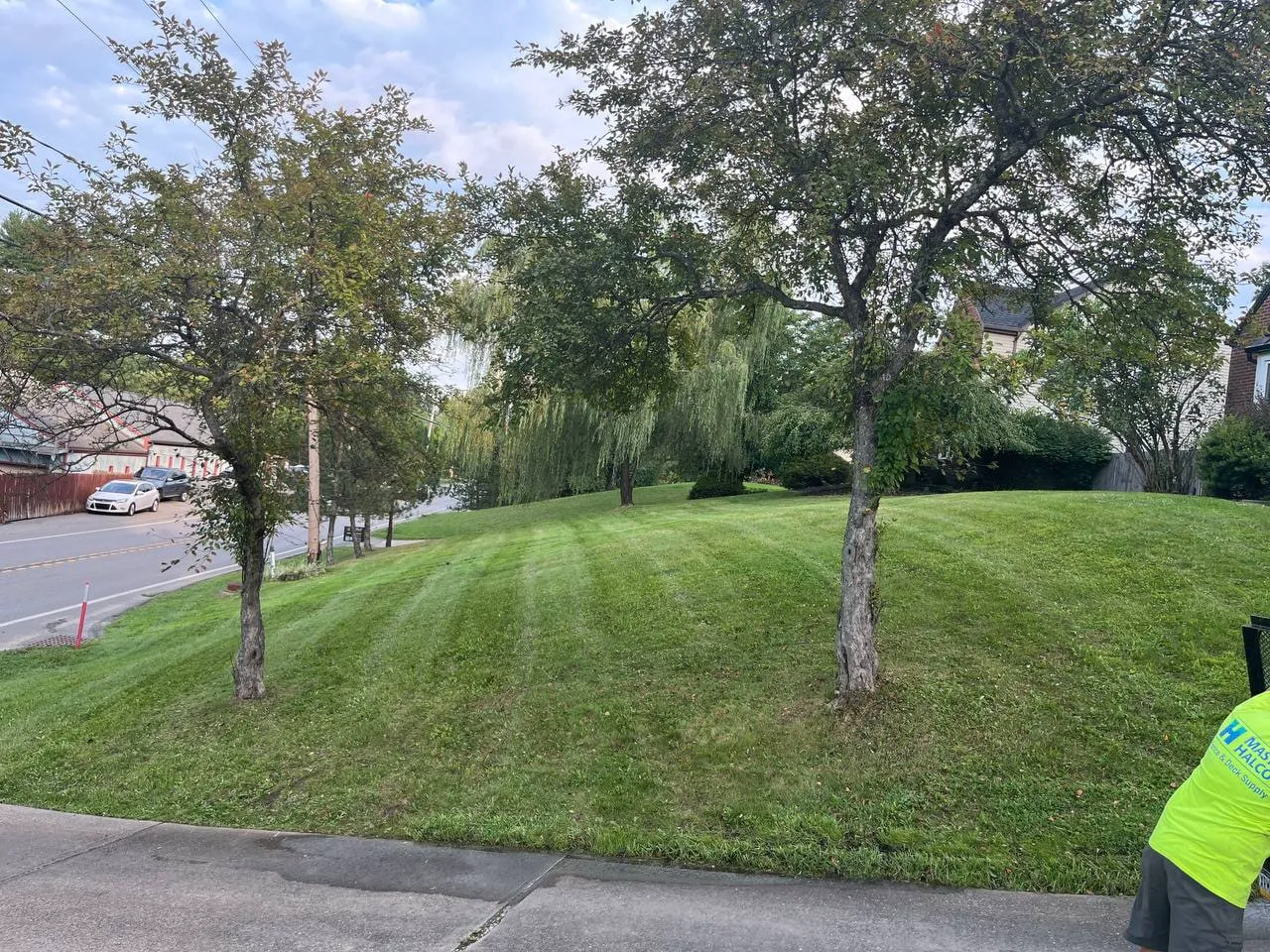 🌱 Nothing beats fresh stripes, photo 2